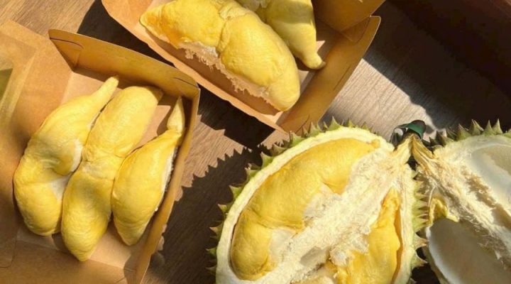 Đặc điểm nhận biết sầu riêng Ri6 chuẩn