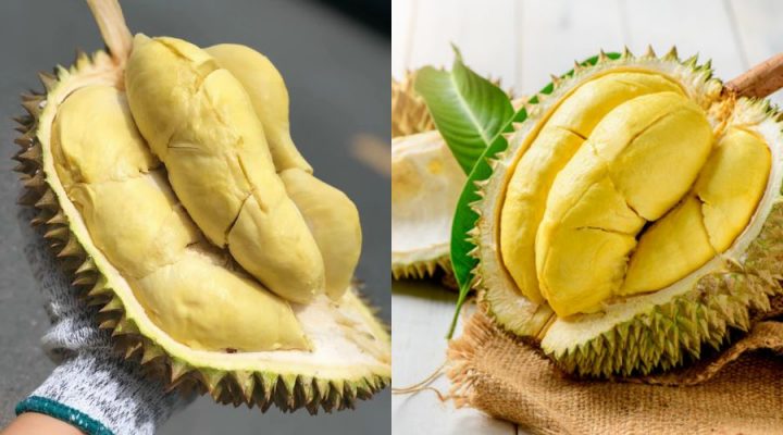 Đặc điểm nhận biết sầu riêng Thái