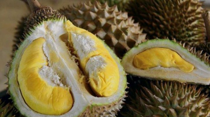 Giá sầu riêng Black Thorn hiện nay là bao nhiêu?