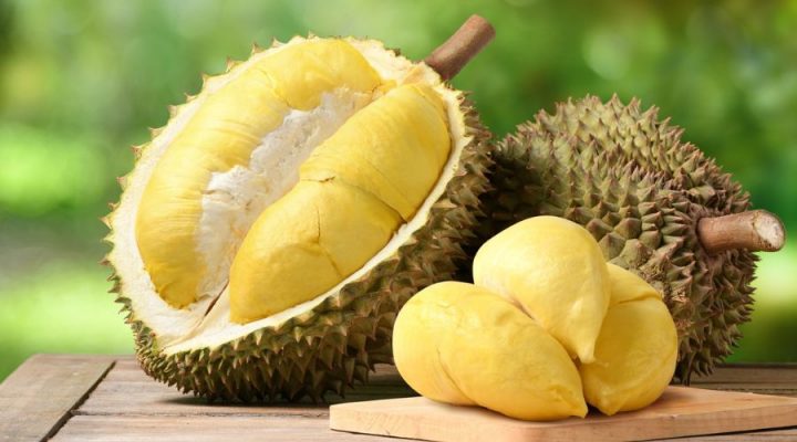 Giá sầu riêng Ri6 bao nhiêu tiền 1kg?