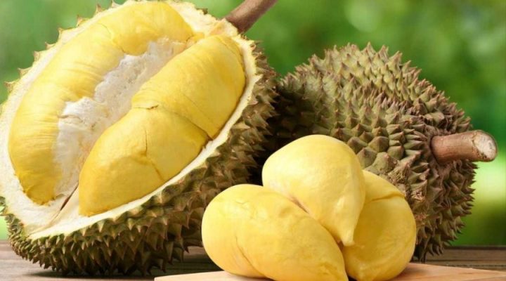 Sầu riêng Black Thorn