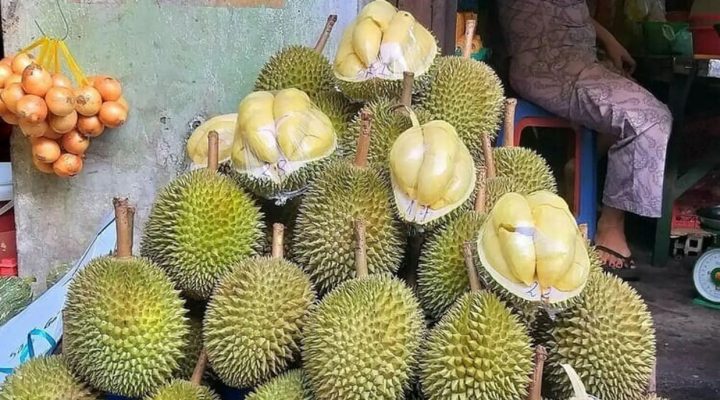 Sầu riêng chuồng bò có ngon không?