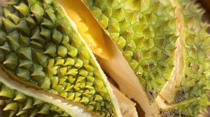 Sầu riêng Ri6 có ngon không?