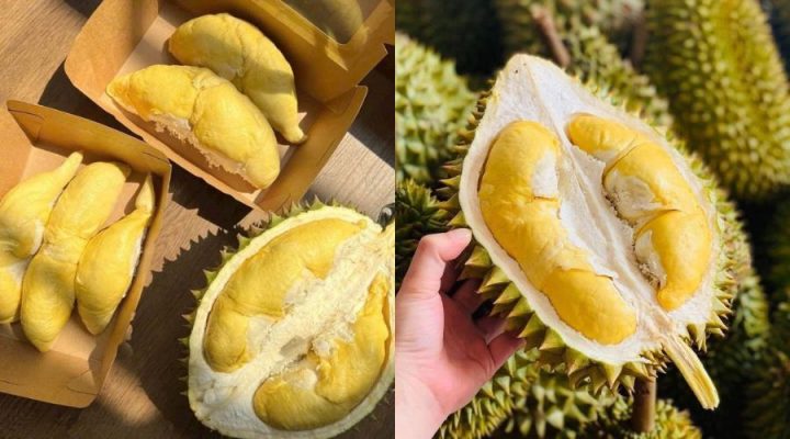 Sầu riêng Thái và sầu riêng Ri6 loại nào ngon hơn?